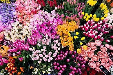 本周Fami通评分出炉 《街头霸王6》获满分评价